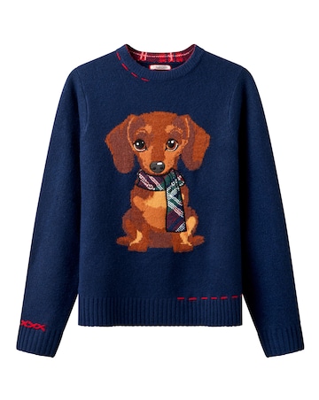 Joe Browns Trixie Embroidered Sausage Dog Jumper