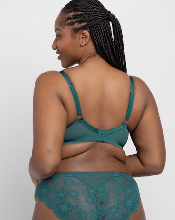 Dorina Curves Winona Lace Non-Pad Plunge Wired Bra Green