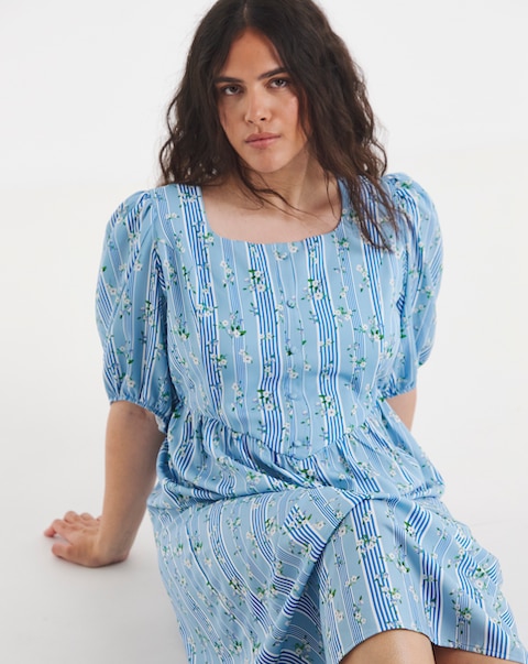 Blue Stripe And Floral Historic Detail Midi Dress