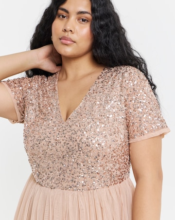 Maya Curve V-Neck Sequin Embellished Tulle Maxi Dress