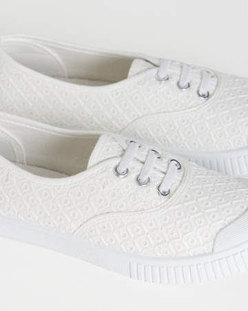 Birney Lace Up Plimsole Trainers - Standard Fit (D)