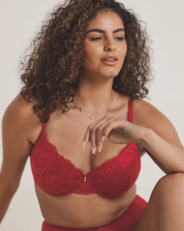 Pretty Secrets Padded Plunge Lace Push Up Bra (B-F) Dark Red