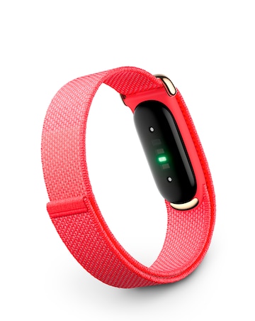 Google Fitbit Air Fitness Tracker - Berry