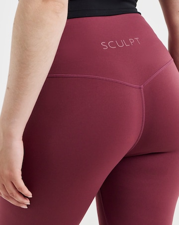 Sculpt Activewear High Waist Hybrid Leggings