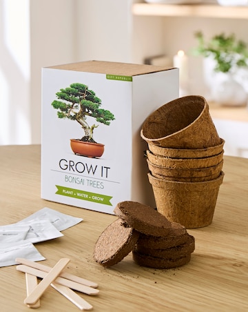 Bonsai Tree Grow It