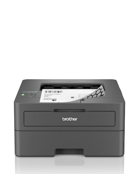 Brother EcoPro Hll2400Dwezu1