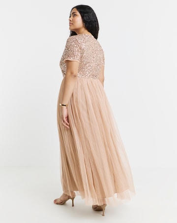 Maya Curve V-Neck Sequin Embellished Tulle Maxi Dress