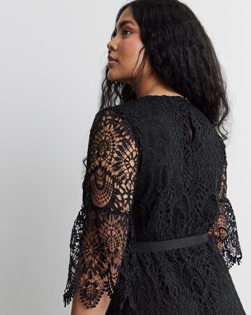 Joanna Hope Structured Lace Dress