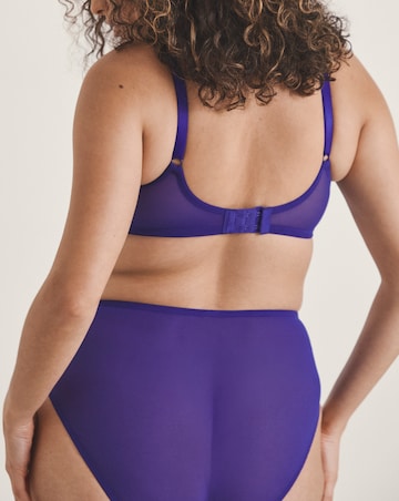 Pretty Secrets Lace Full Brief Knickers Blue