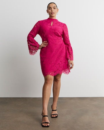 Joanna Hope High Neck Lace Dress
