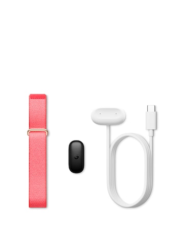 Google Fitbit Air Fitness Tracker - Berry