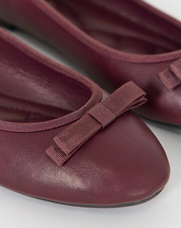 Abundance Classic Bow Ballerina Shoes - Wide Fit (E)
