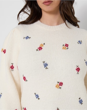 Joe Browns Ditsy Floral Embroidered Jumper