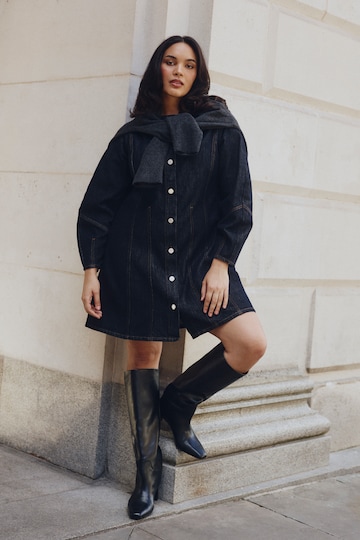 Indigo Denim Button Front Mini Dress