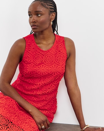 Joanna Hope Crochet Dress