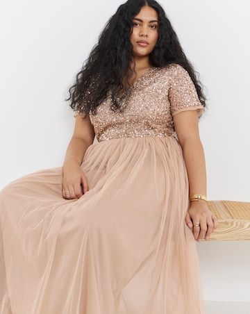 Maya Curve V-Neck Sequin Embellished Tulle Maxi Dress