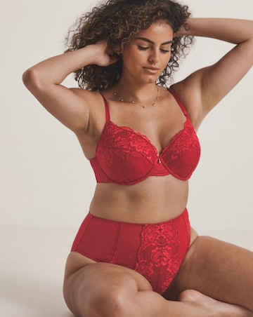 Pretty Secrets Lace Full Brief Knickers Dark Red
