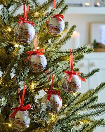 Set of 6 Robin Baubles in Box