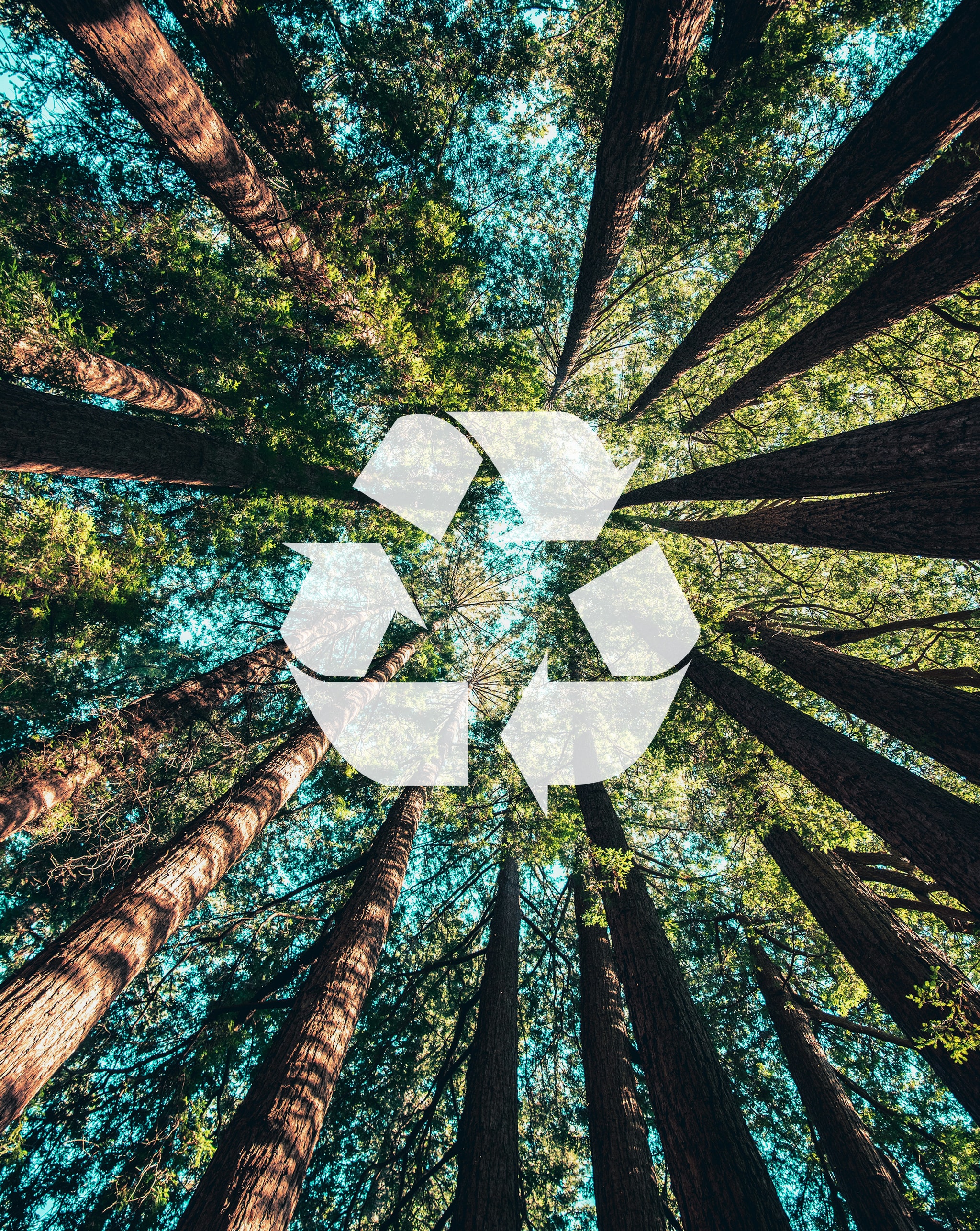 Sustainable pacaking