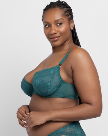 Dorina Curves Winona Lace Non-Pad Plunge Wired Bra Green