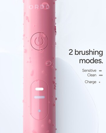 Ordo Sonic Lite Electric Toothbrush - Petal