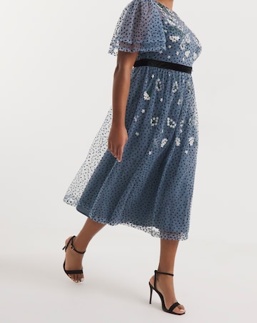 Joanna Hope Mesh Spot Midi Dress