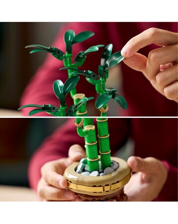 LEGO Botanicals Lucky Bamboo Indoor Plant Decor, Gift for Nature Lovers 10344