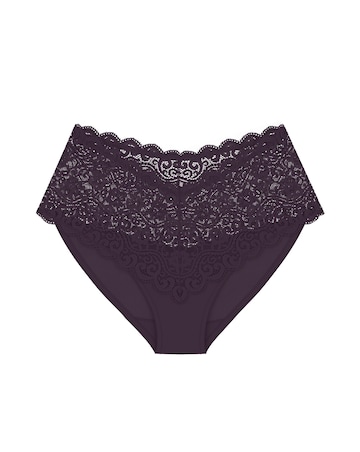 Triumph Amourette Maxi Briefs Brandy