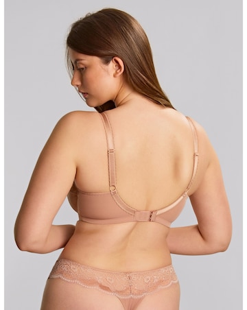Panache Clara Honey Full Cup Wired Bra