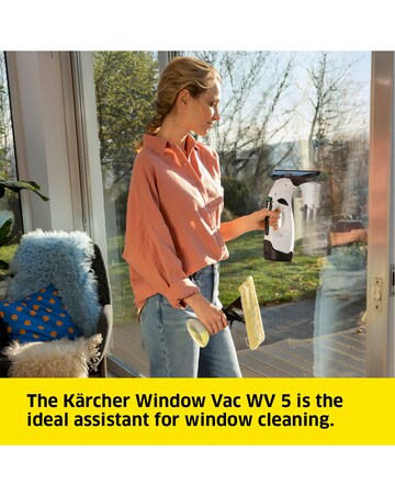 Karcher WV5 Plus Window Vacuum Cleaner