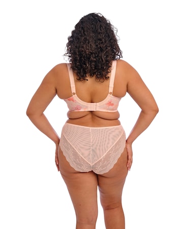 Elomi Lucie High Leg Knicker Cosmos