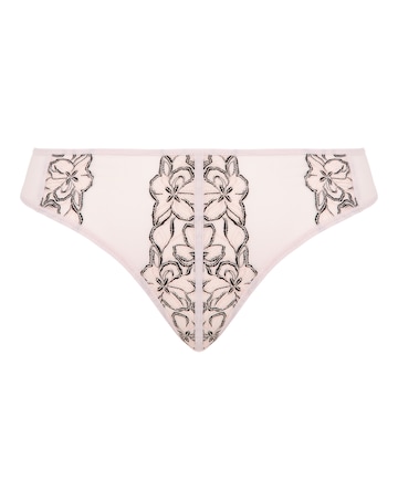 Contemporary Mesh & Lace Brief