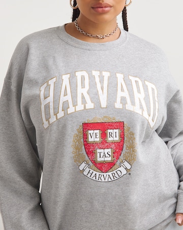 Grey Marl Harvard Varsity License Regular Fit Sweatshirt