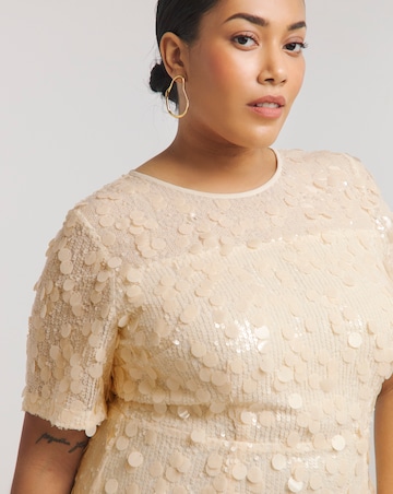 Joanna Hope Sequin Column Dress