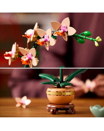 LEGO Botanicals Mini Orchid Plant Gift, Home Decor Building Kit for Adults 10343