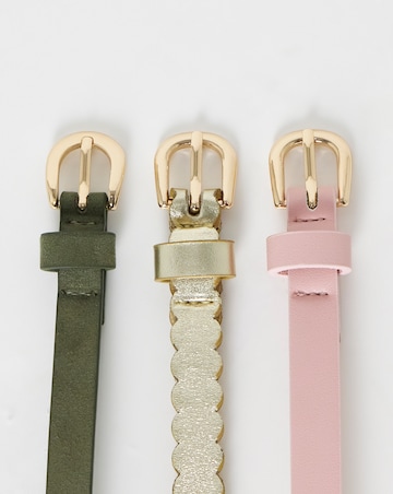 Multi 3 Pack Belt