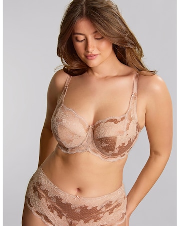 Panache Clara Honey Full Cup Wired Bra