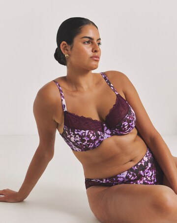 Pretty Secrets (2 Pack) Adrianne Full Cup Wired Bras (C-F) Animal Print/Black