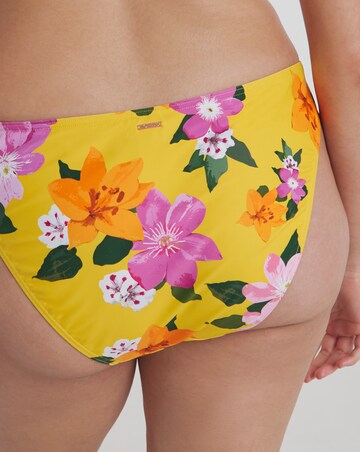 Figleaves Panama Classic Bikini Brief