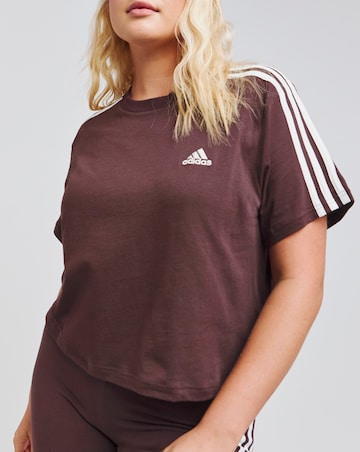 adidas Essentials 3 Stripes Crop Top