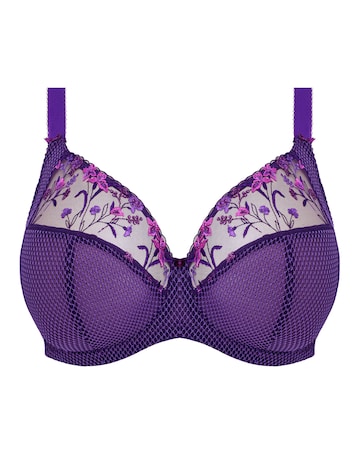 Elomi Charley Plunge Wired Bra Iris