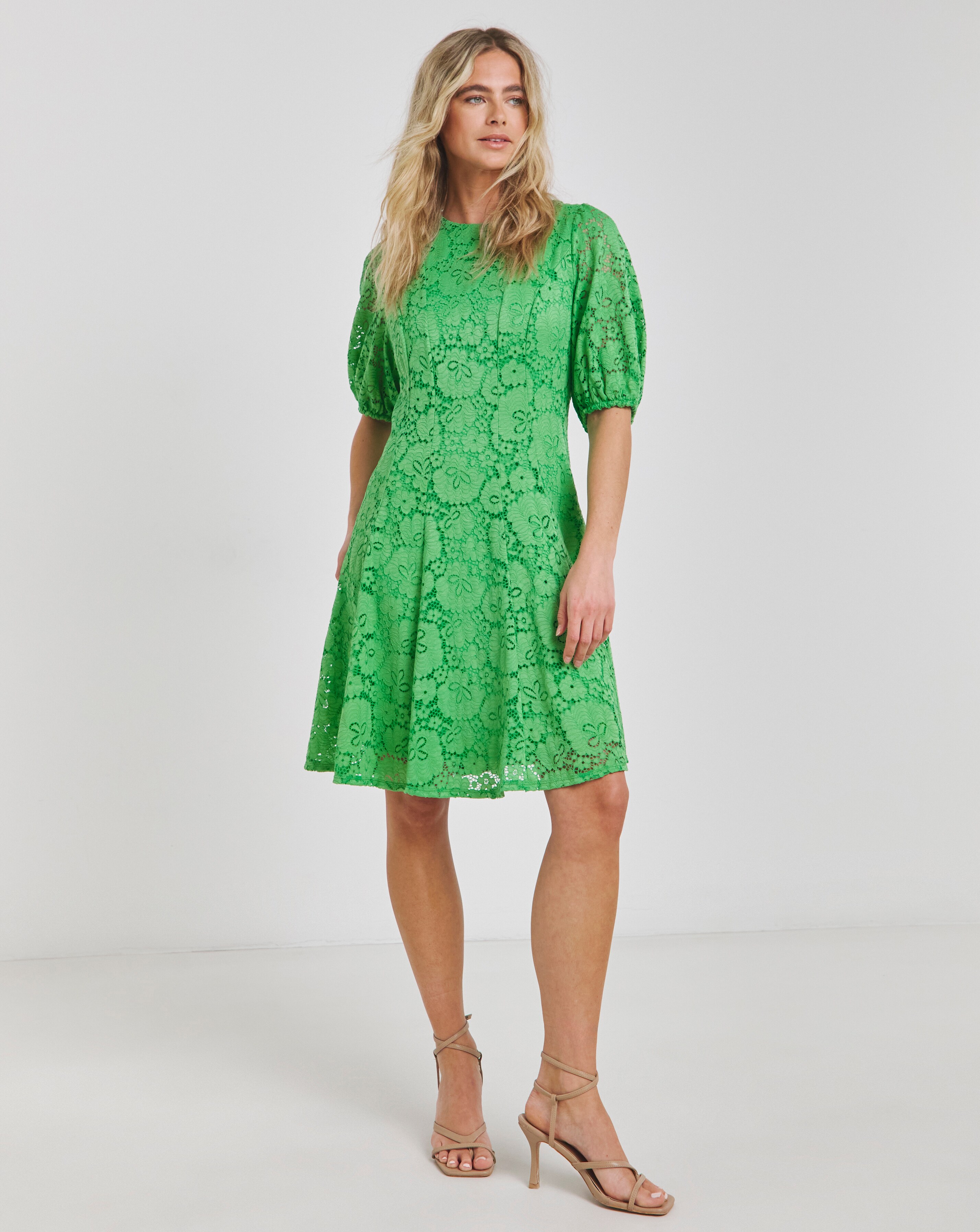 Joanna Hope Green Lace Skater Dress
