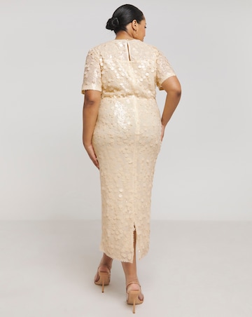 Joanna Hope Sequin Column Dress