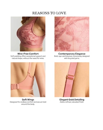 Panache Amour Non Wired  Rose Pink Soft Padded Lace Bra