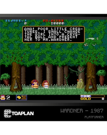 Toaplan Arcade Collection (Evercade)