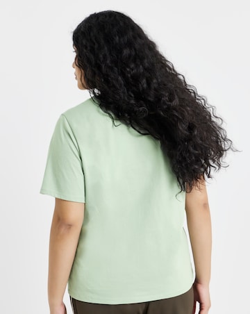 Ecru, Blue, Sage, Chocolate & Black Slim Fit Crew Neck T-Shirts