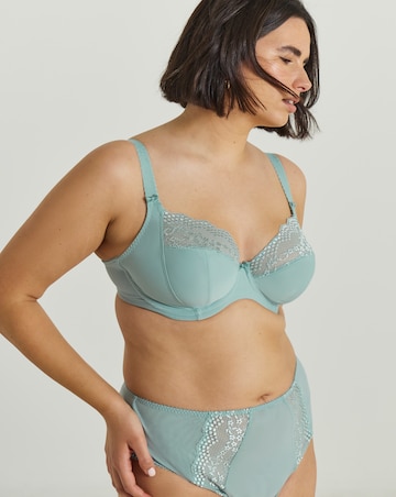 Elomi Lucie Plunge Wired Bra Mist