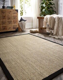Sisal Border Rug