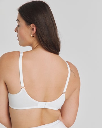 Pretty Secrets (3 Pack) New Claire Cotton Moulded Full Cup Wired Bras (B-E)