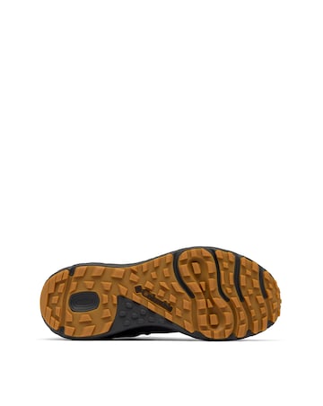 Columbia Terrastride Trainers